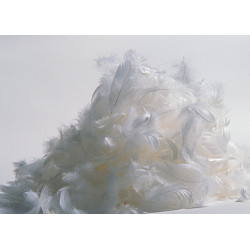 Coussin de corps plume Pyrenex
