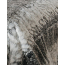 Plaid et couvre lit LOUP